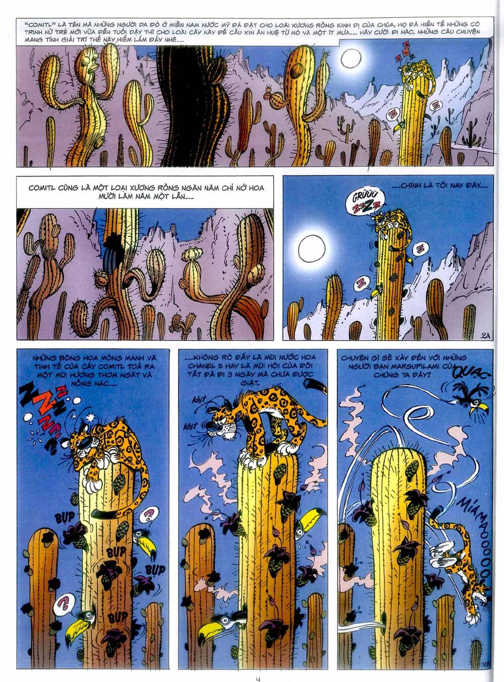 Marsupilami - Chương 4