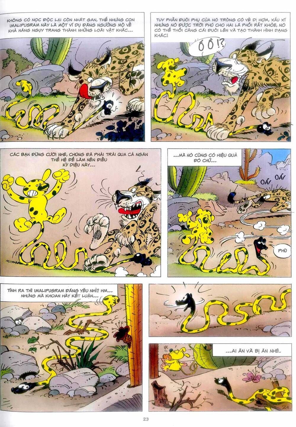 Marsupilami - Chương 4
