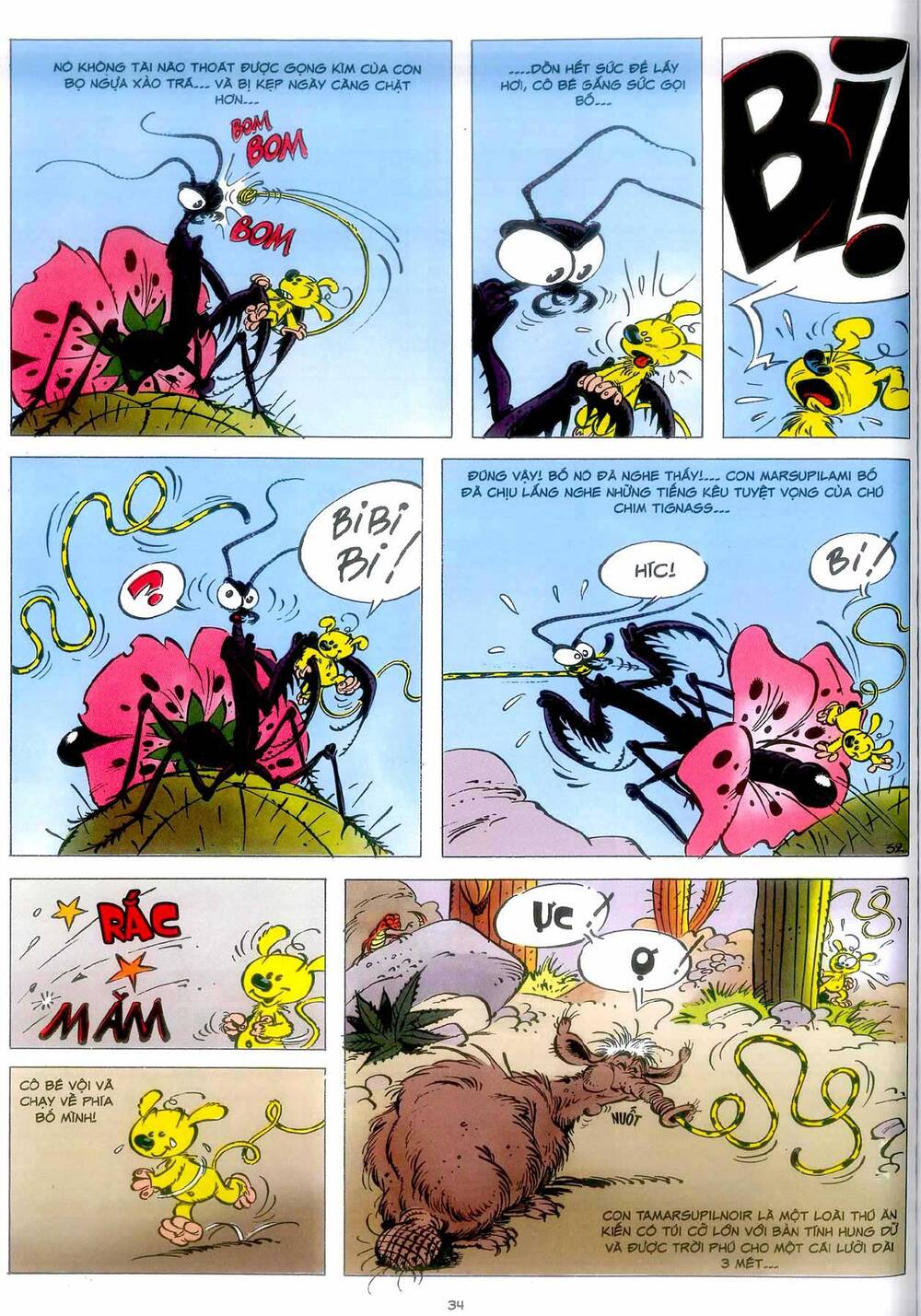 Marsupilami - Chương 4