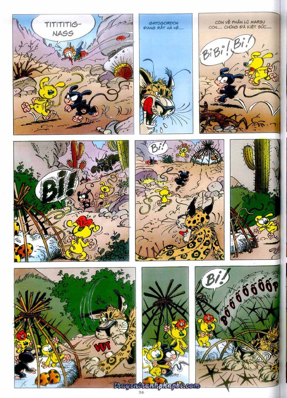 Marsupilami - Chương 4