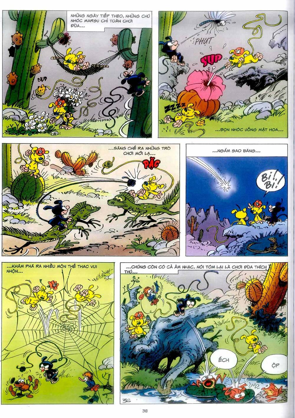 Marsupilami - Chương 4