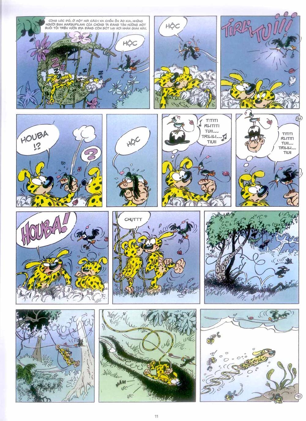 Marsupilami - Chương 8