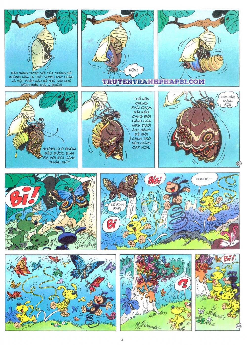 Marsupilami - Chương 9