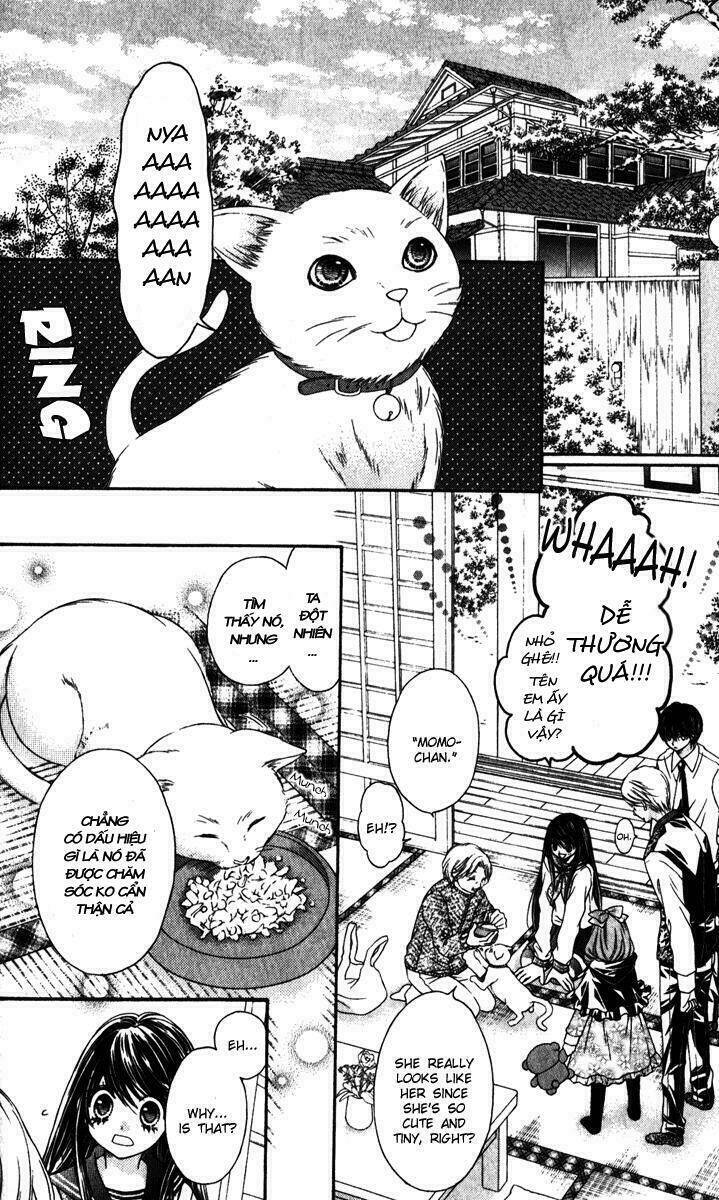Momo - Chương 19