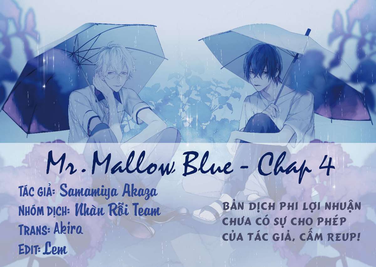 Mr. Mallow Blue - Chương 4