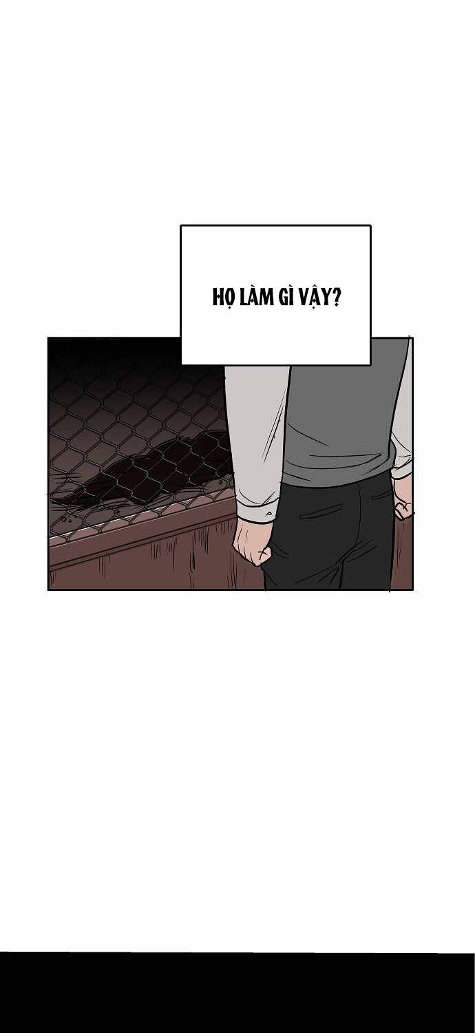 Ngọn Lửa Xanh - Chương 1
