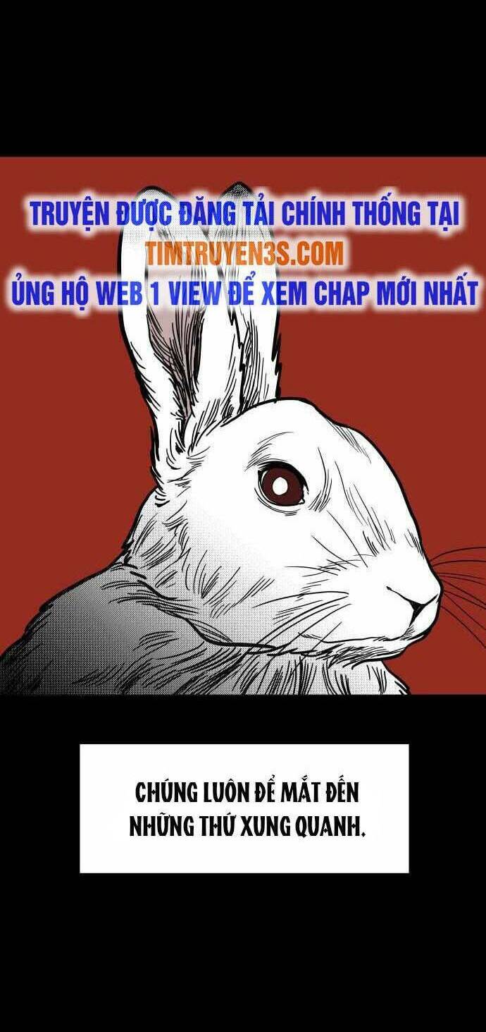 Ngọn Lửa Xanh - Chương 48