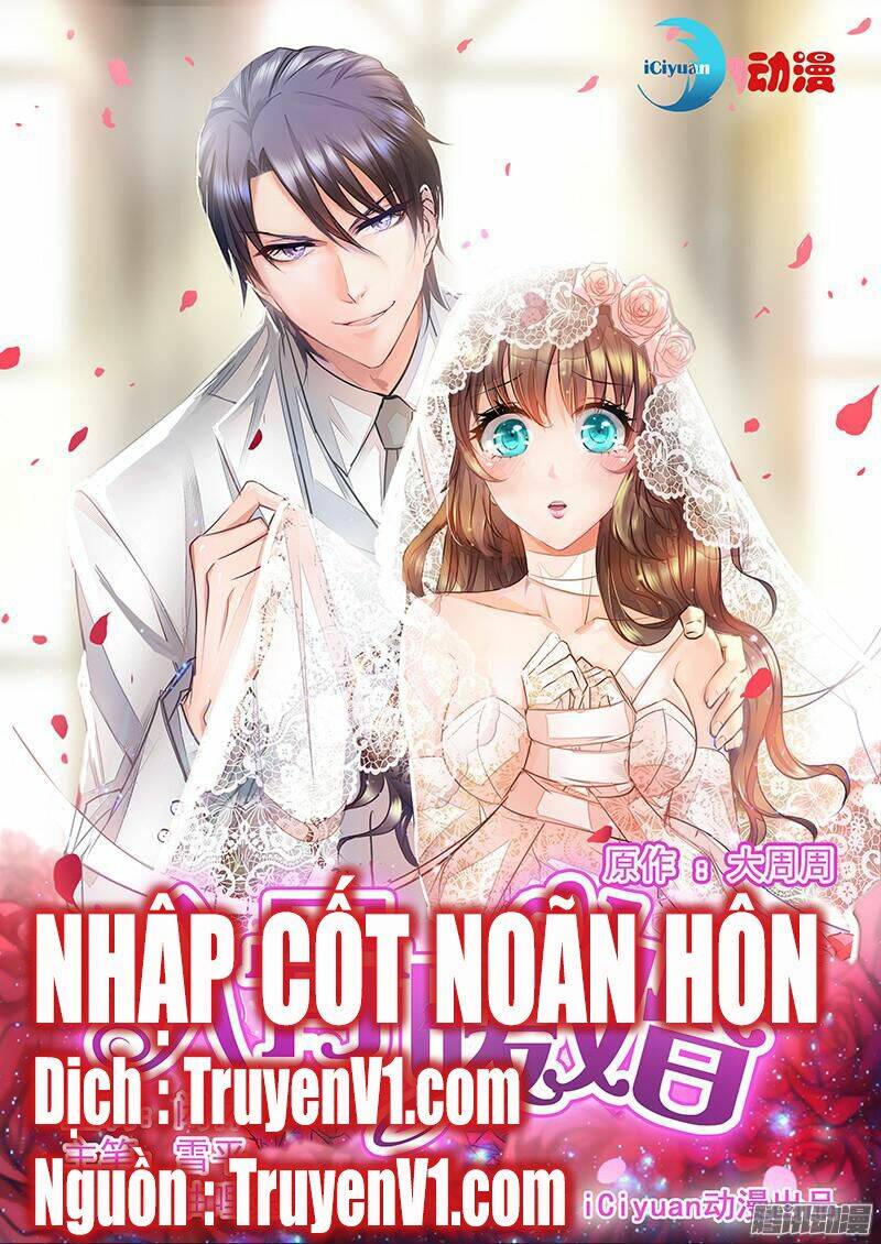 Nhập Cốt Noãn Hôn - Chương 1