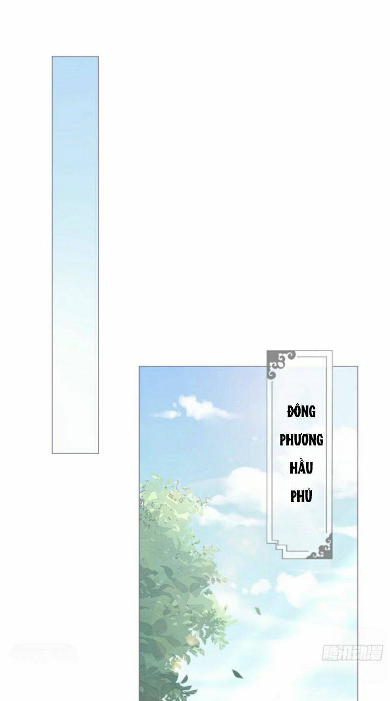 Nhập Mạc Chi Thần - Chương 43