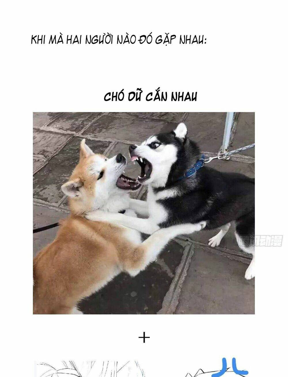 Nhập Mạc Chi Thần - Chương 56