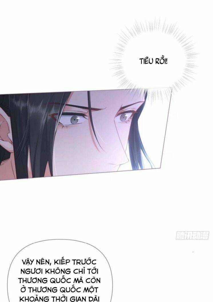 Nhập Mạc Chi Thần - Chương 62