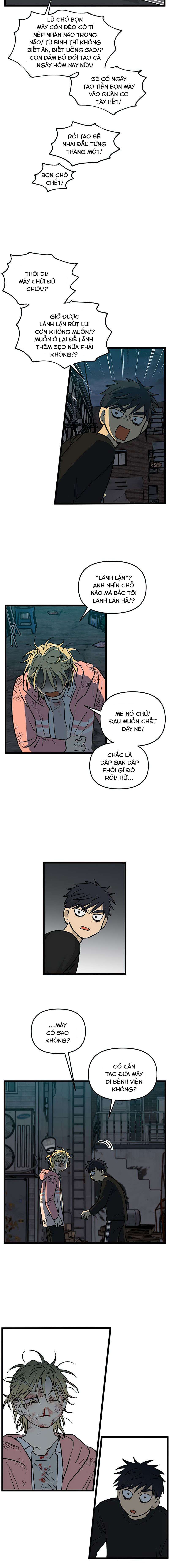NO HOME - Chương 155
