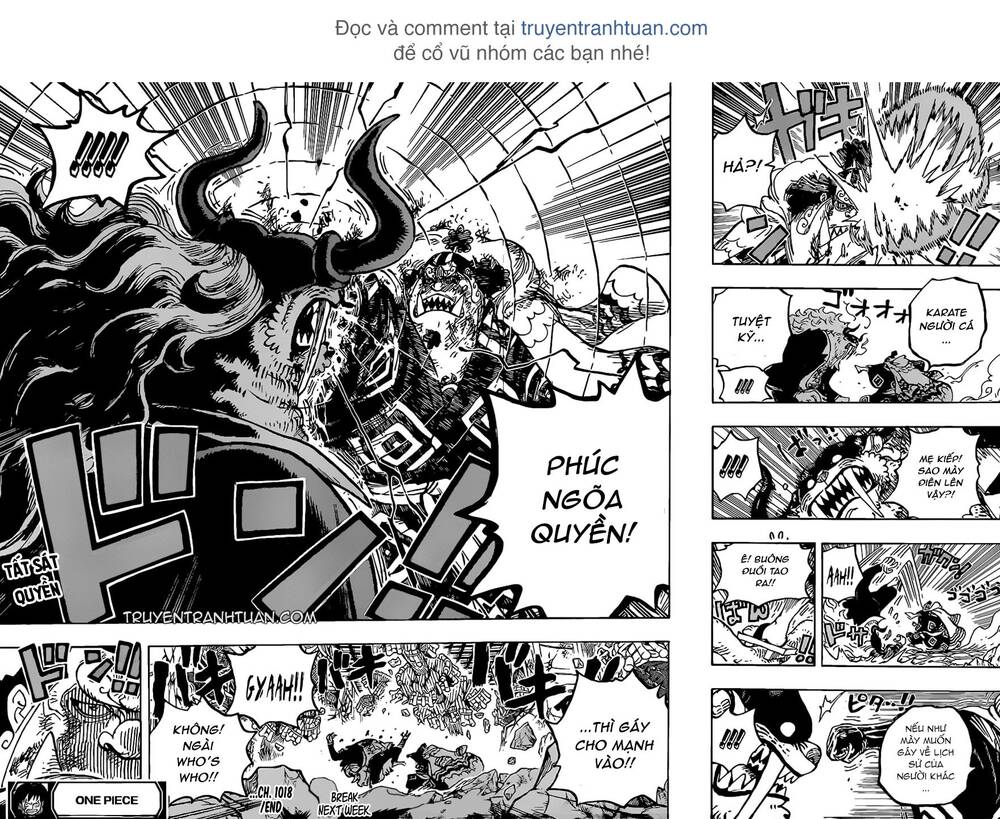 One Piece - Chương 1018