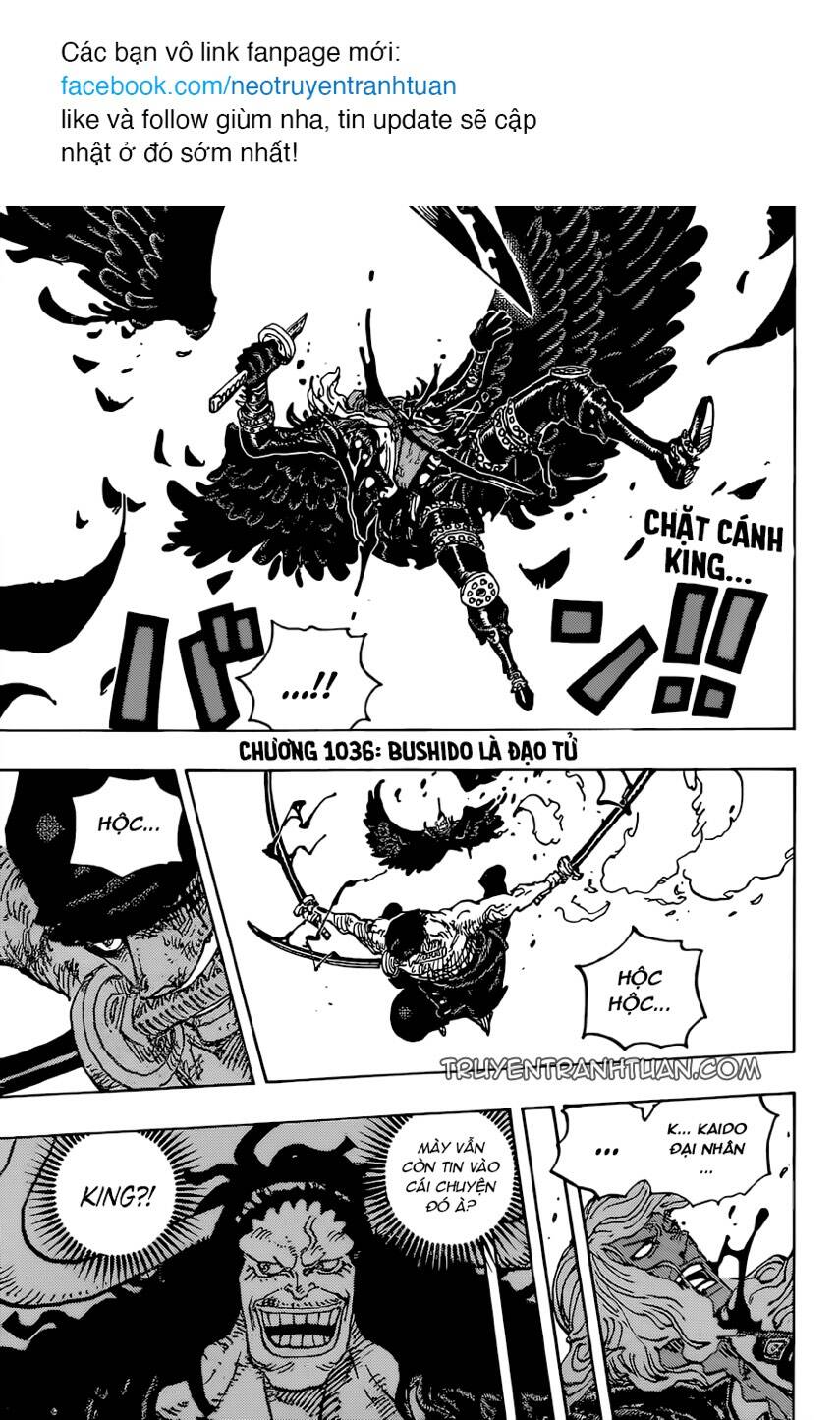 One Piece - Chương 1036