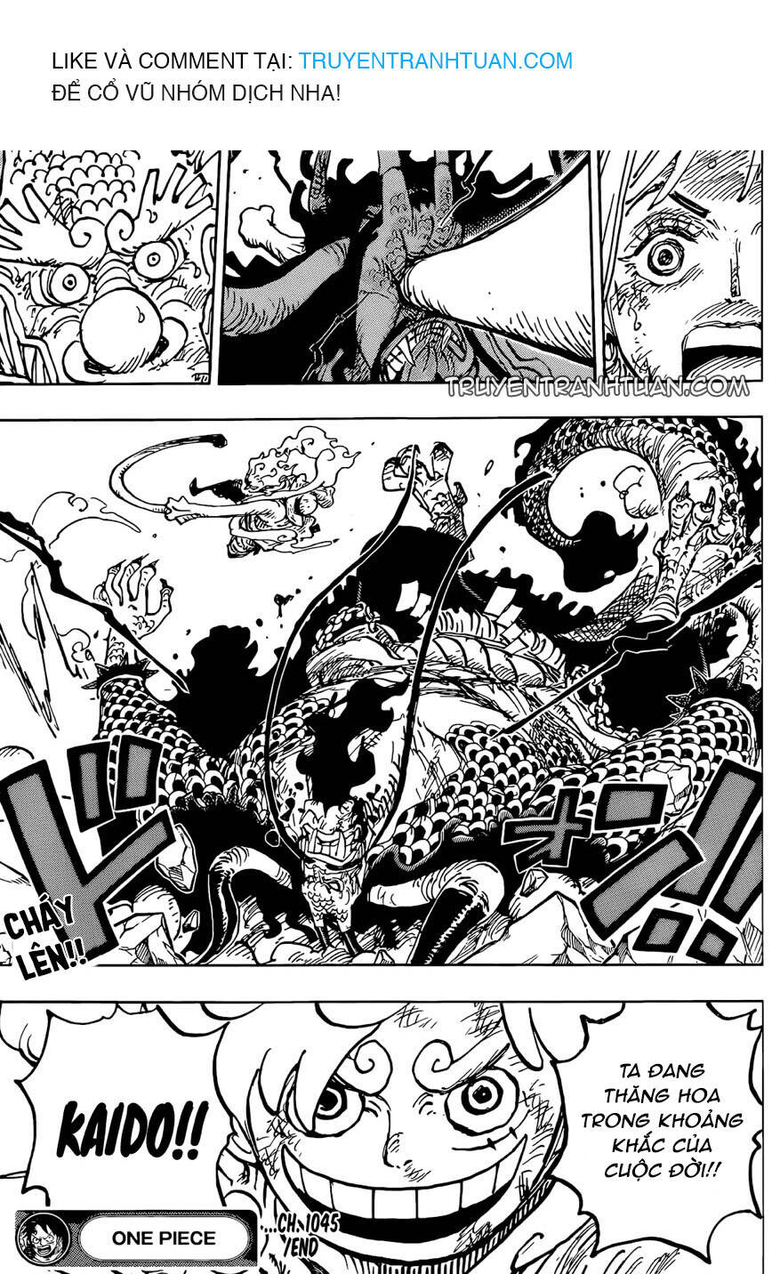 One Piece - Chương 1045