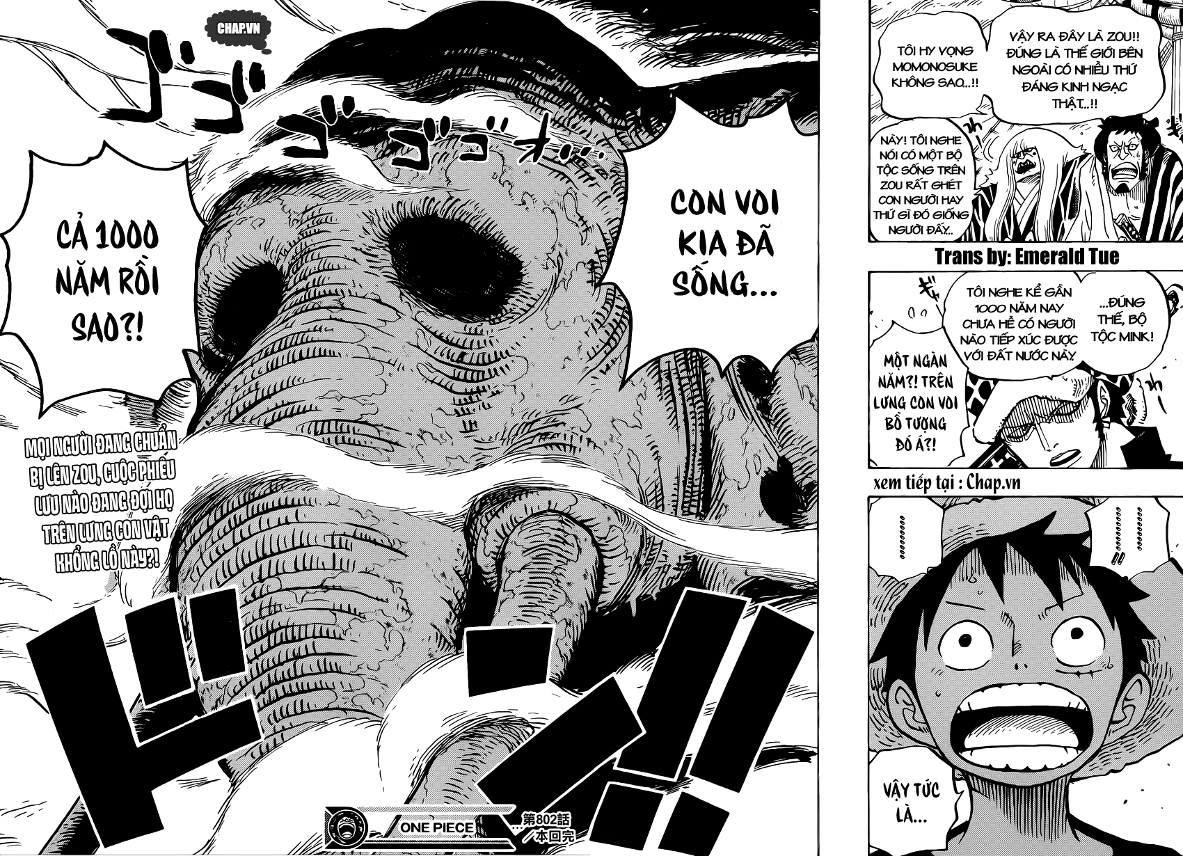One Piece - Chương 802