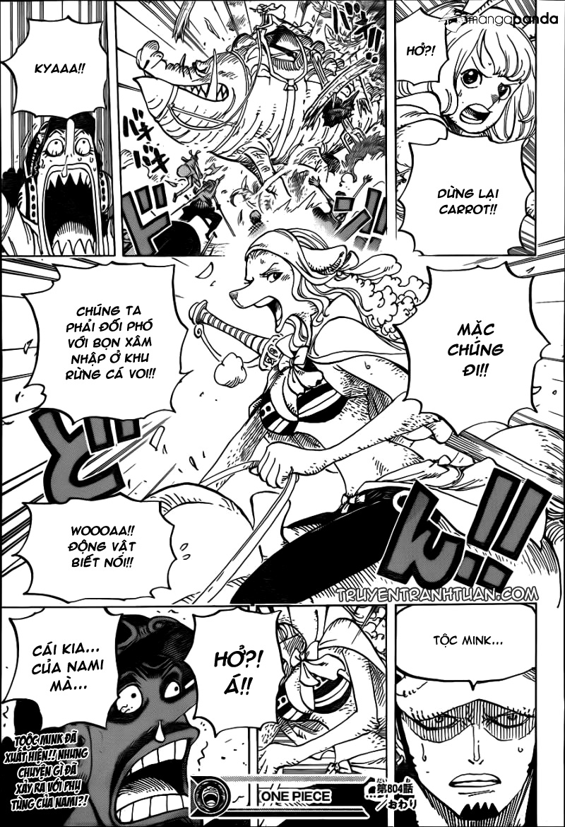 One Piece - Chương 804
