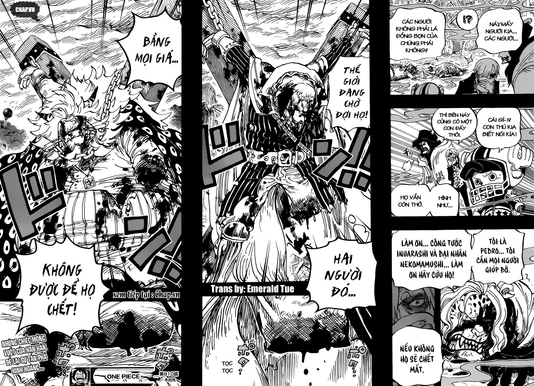 One Piece - Chương 810