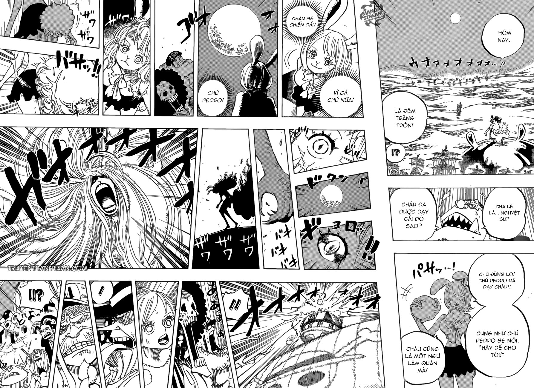 One Piece - Chương 888