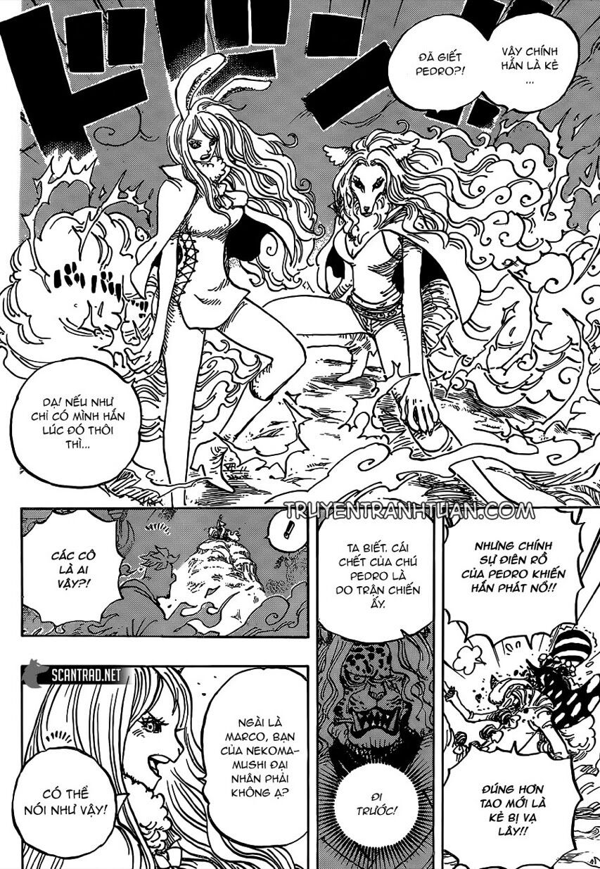 One Piece - Chương 995