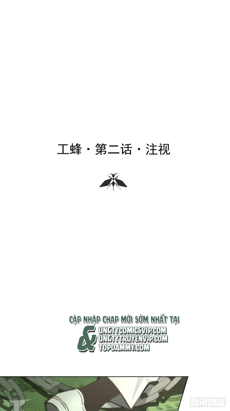 Ong Thợ - Chương 3