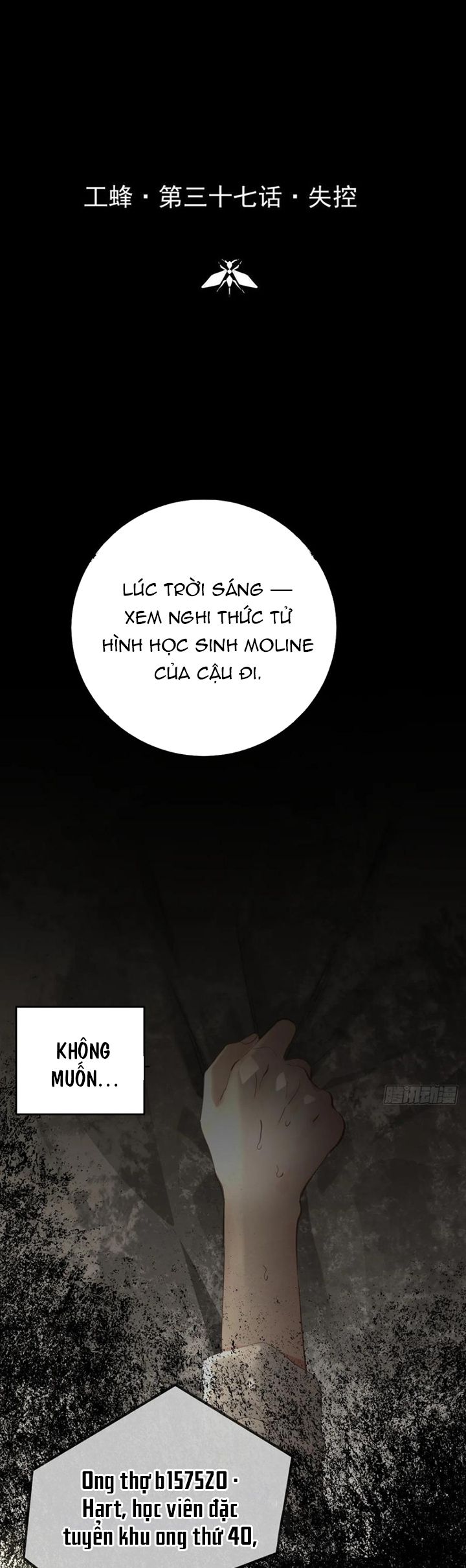 Ong Thợ - Chương 37