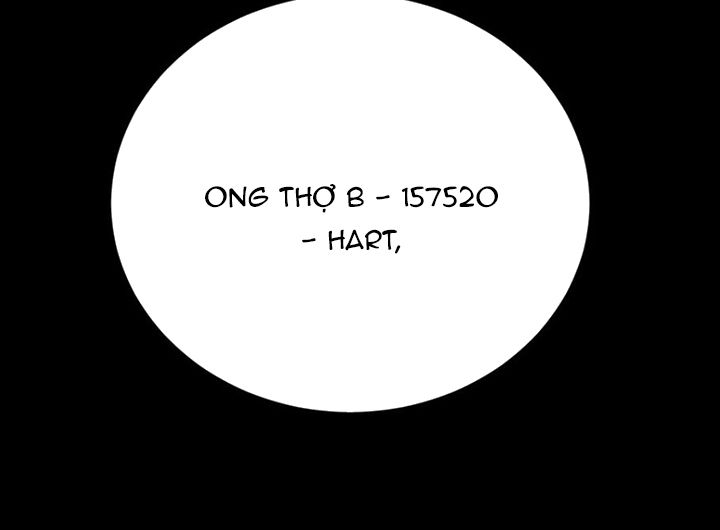 Ong Thợ - Chương 37