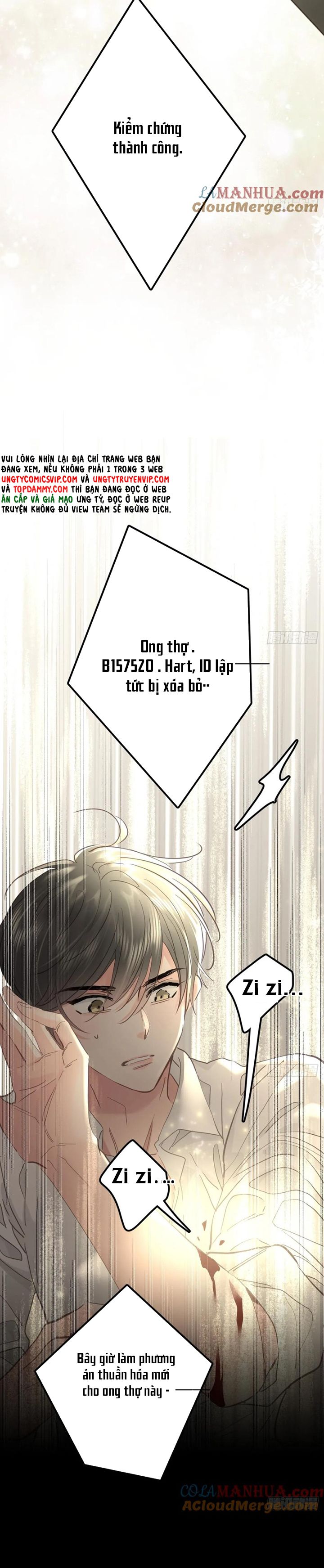 Ong Thợ - Chương 38