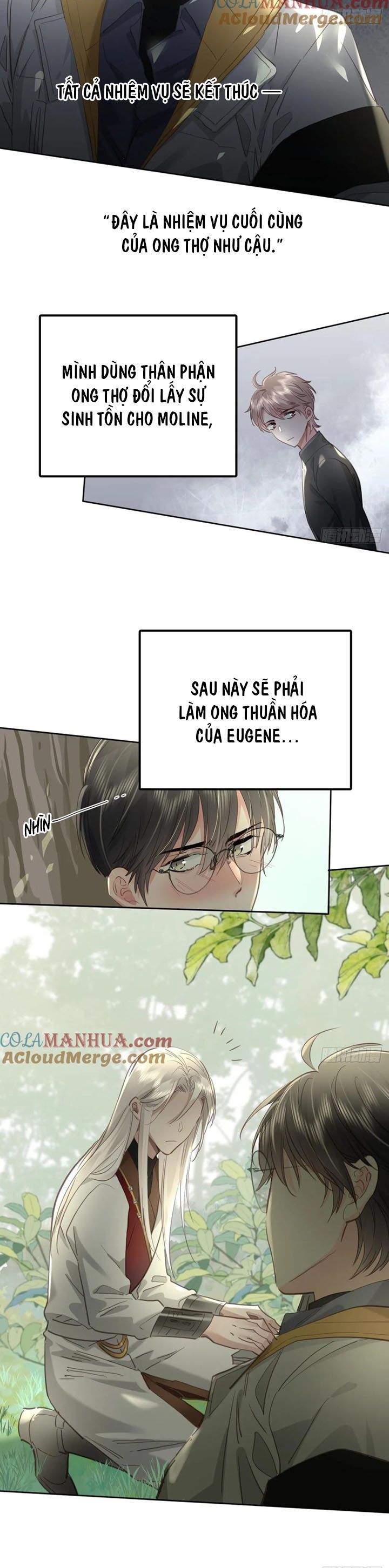 Ong Thợ - Chương 41