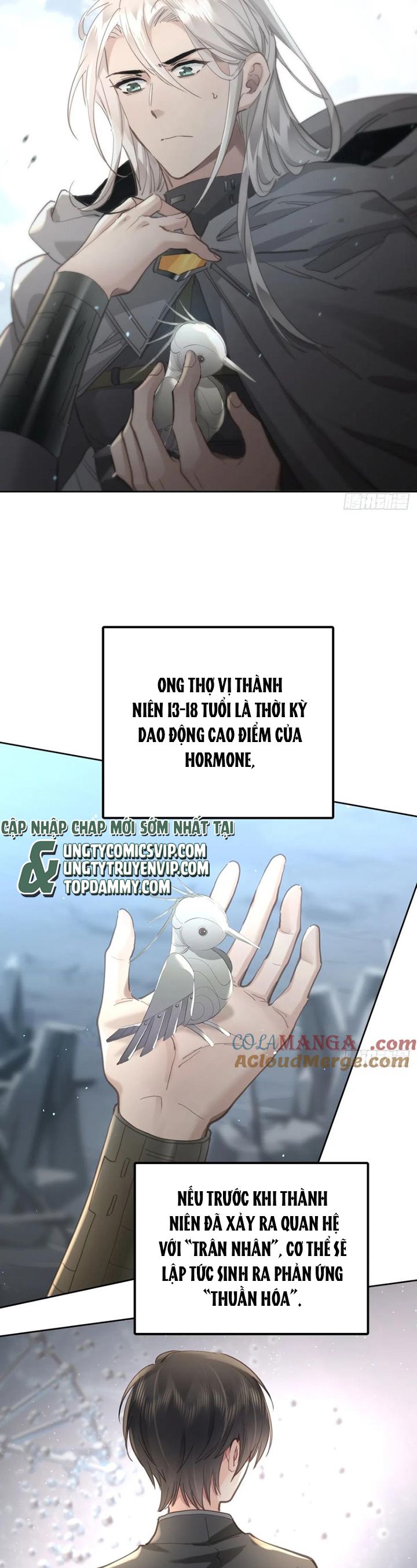 Ong Thợ - Chương 44