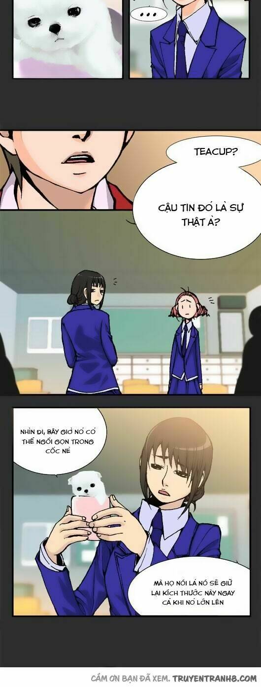 Pet Diary - Chương 14
