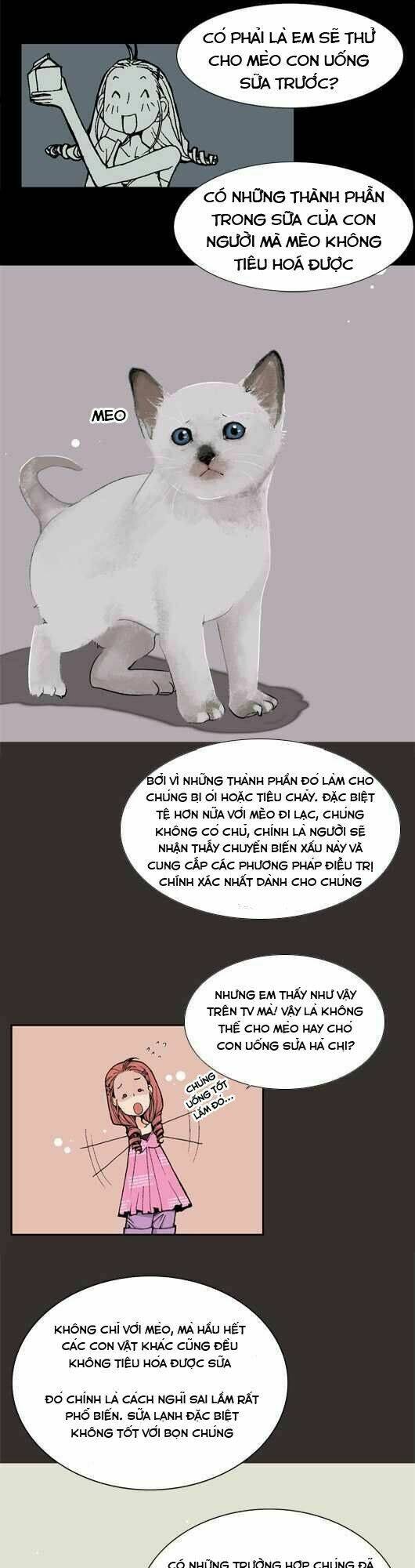 Pet Diary - Chương 19