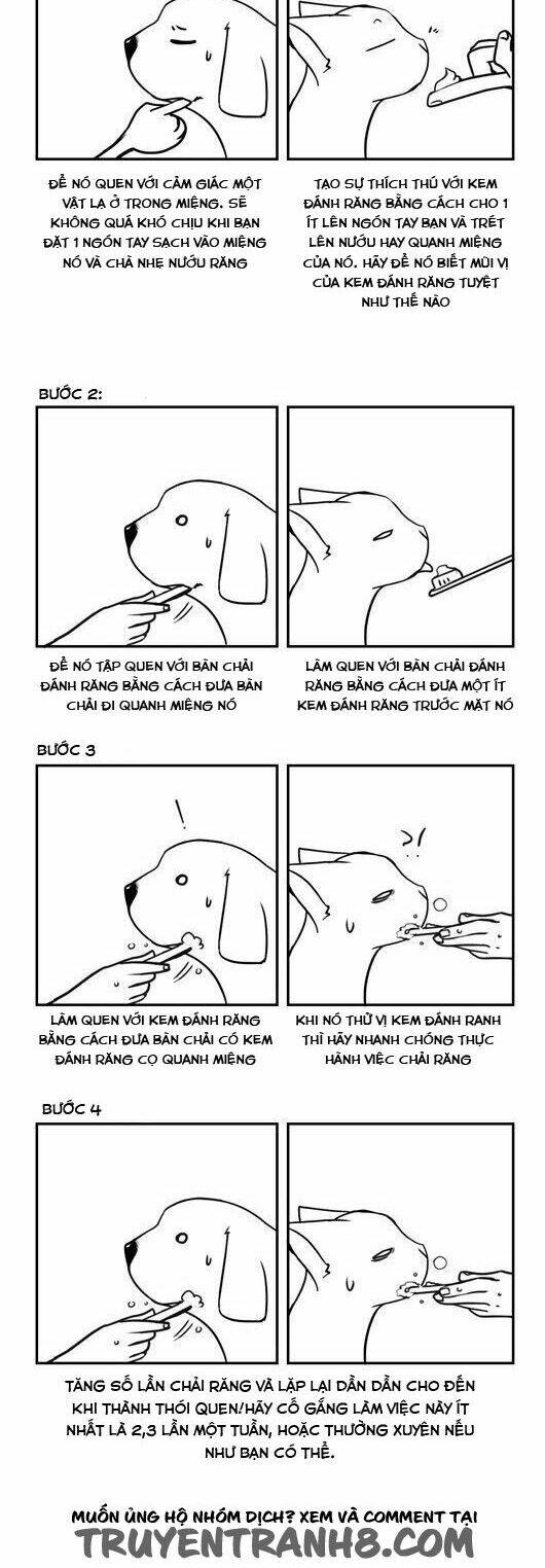 Pet Diary - Chương 26