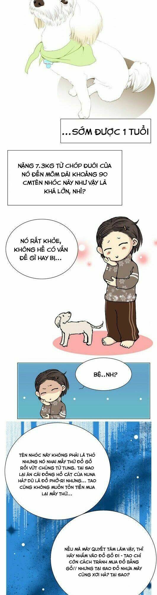Pet Diary - Chương 36