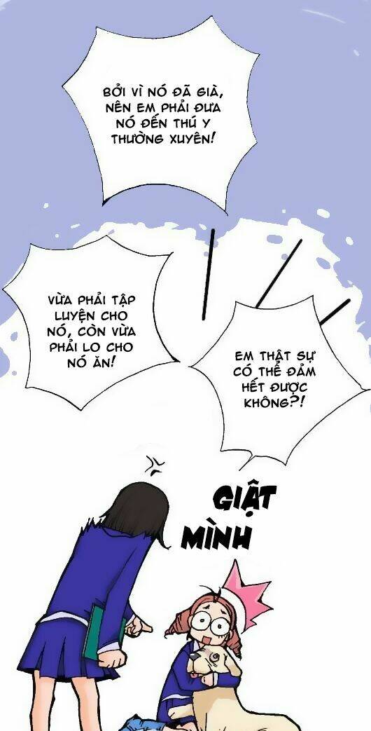 Pet Diary - Chương 4