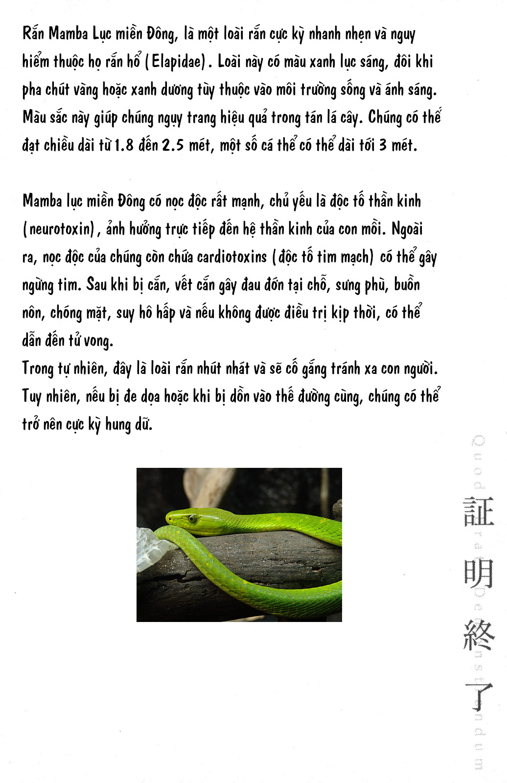Q.E.D. Iff - Chương 5