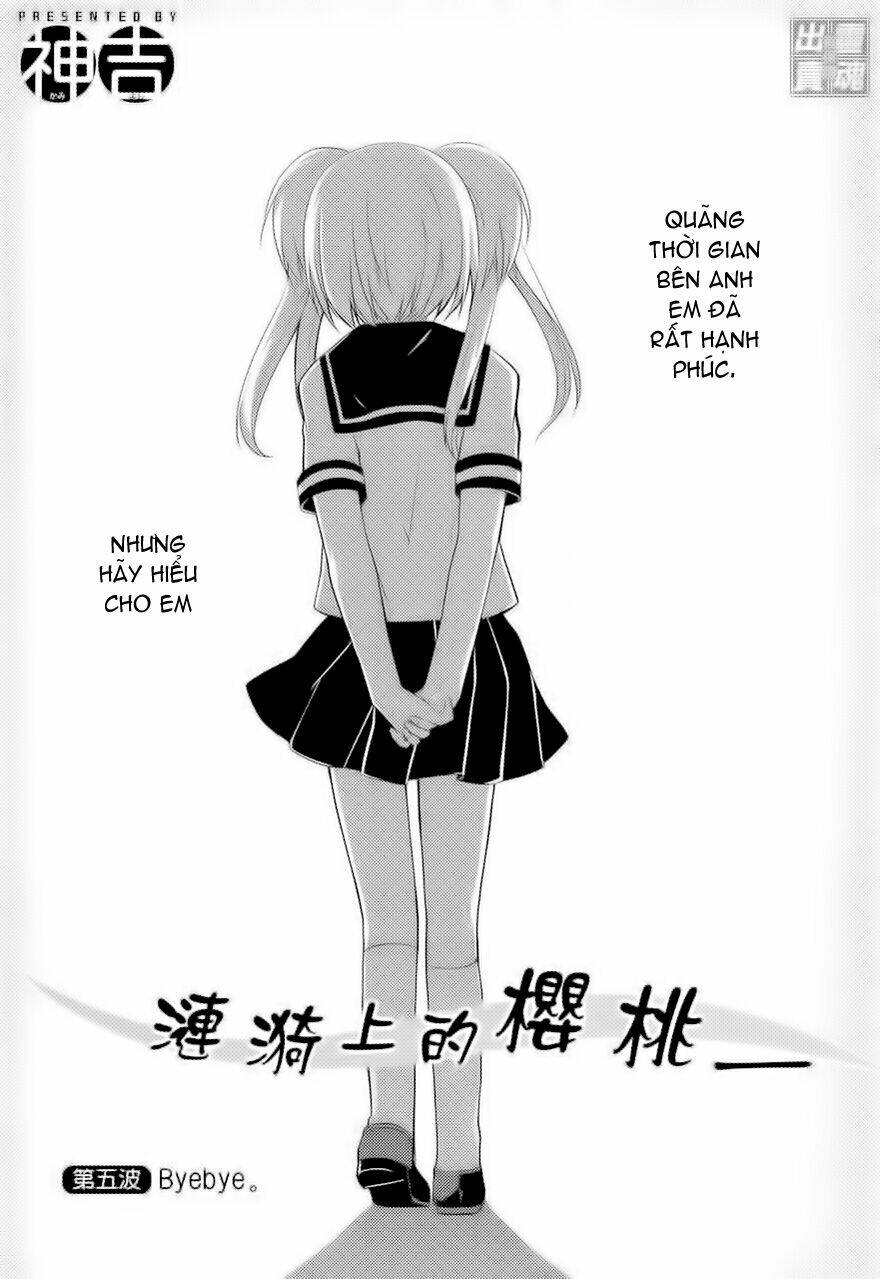 Sazanami Cherry - Chương 5