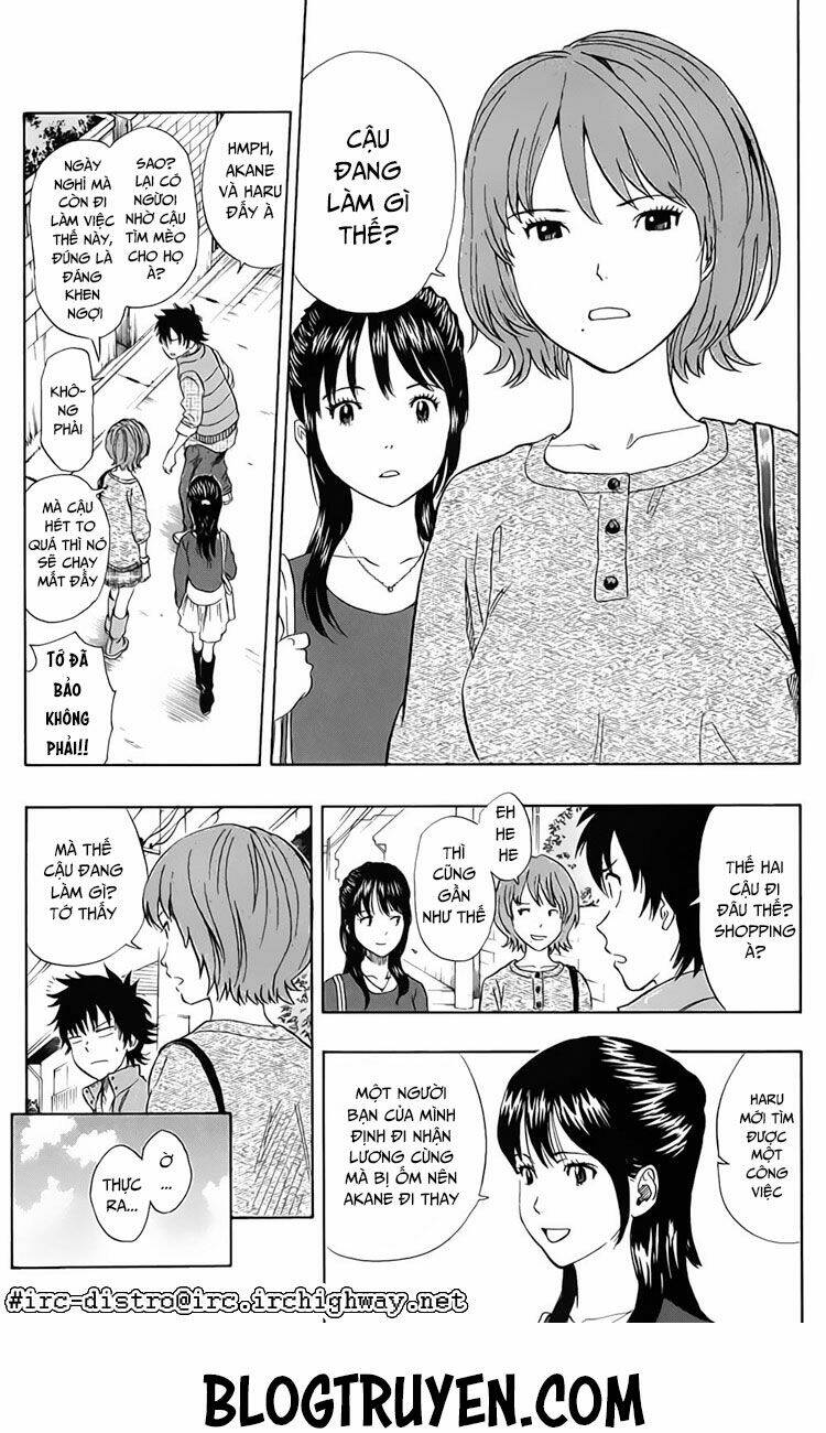 Sket Dance - Chương 81