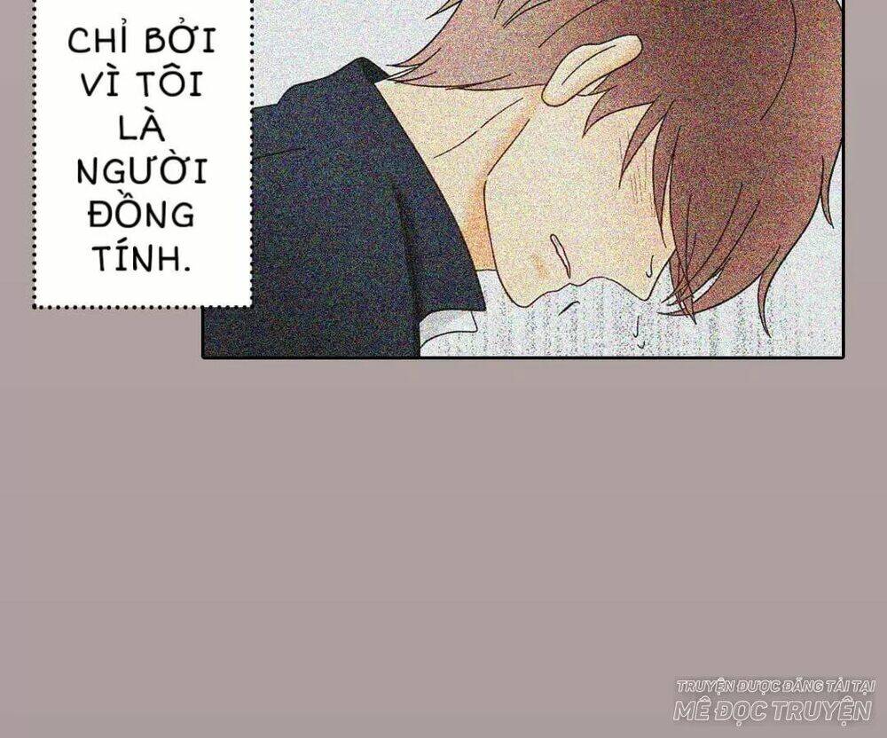 Sugar Pet - Chương 1