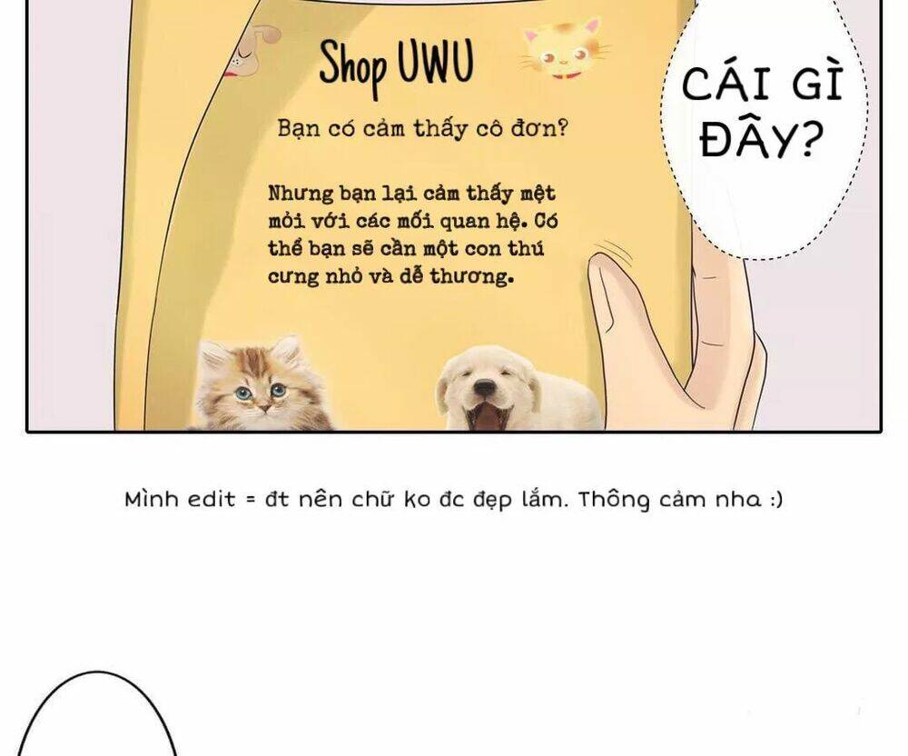 Sugar Pet - Chương 1