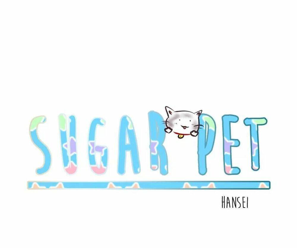 Sugar Pet - Chương 1