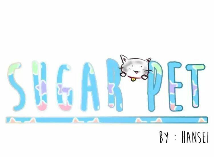 Sugar Pet - Chương 11