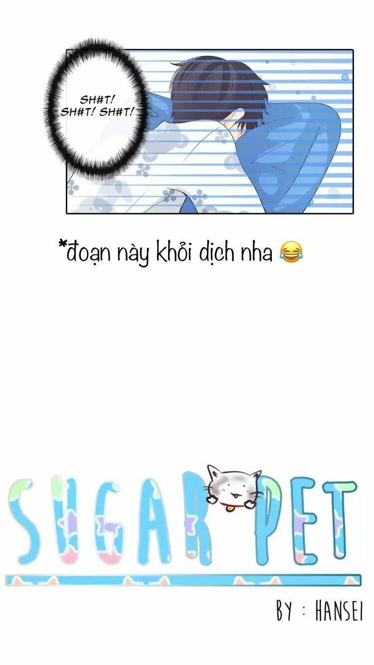 Sugar Pet - Chương 12