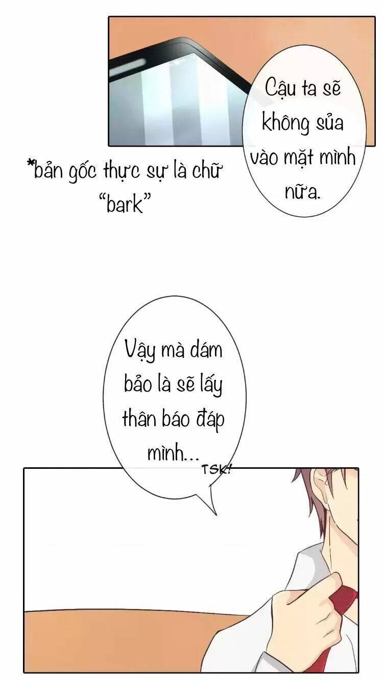 Sugar Pet - Chương 13