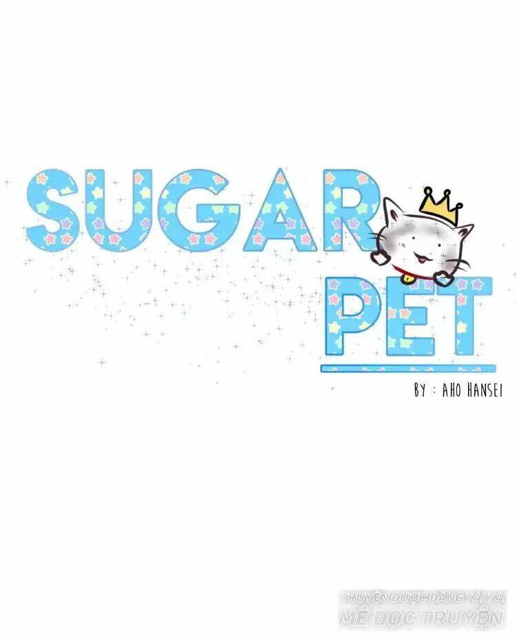 Sugar Pet - Chương 14