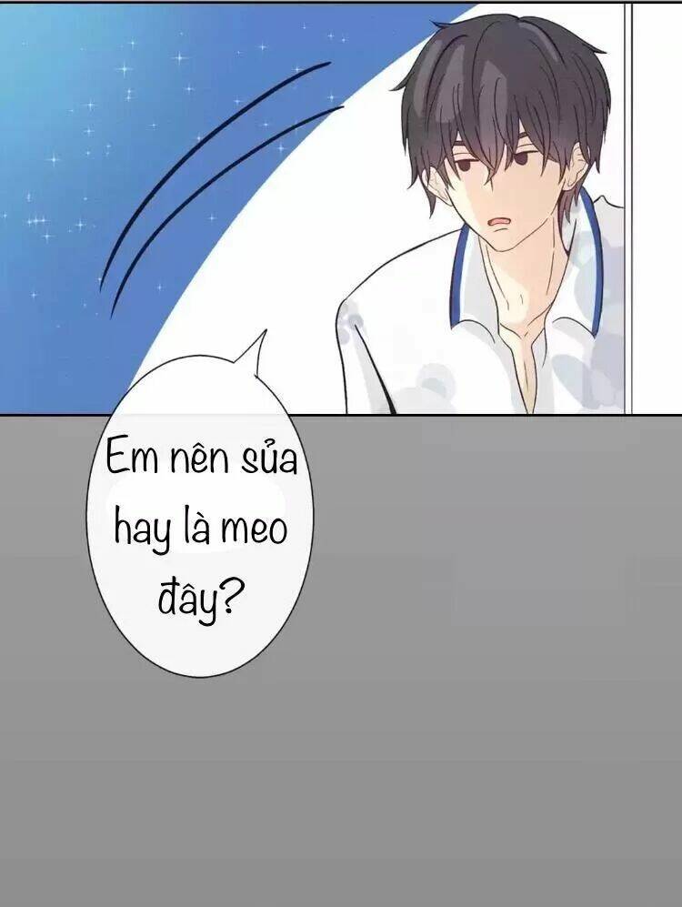 Sugar Pet - Chương 14
