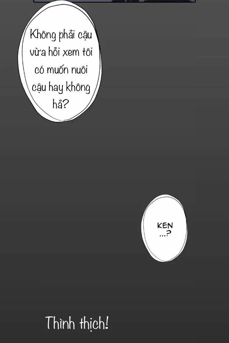 Sugar Pet - Chương 14