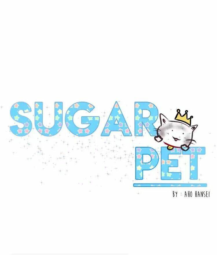 Sugar Pet - Chương 15