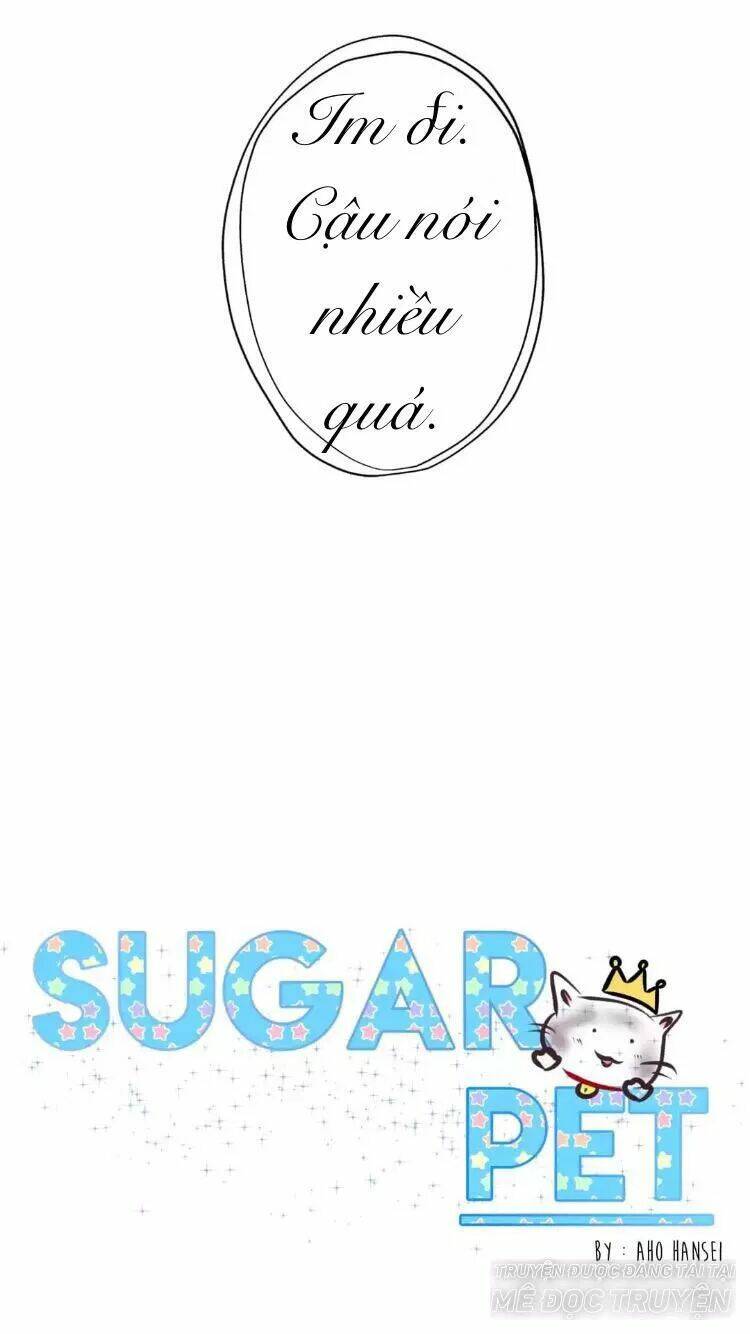 Sugar Pet - Chương 16