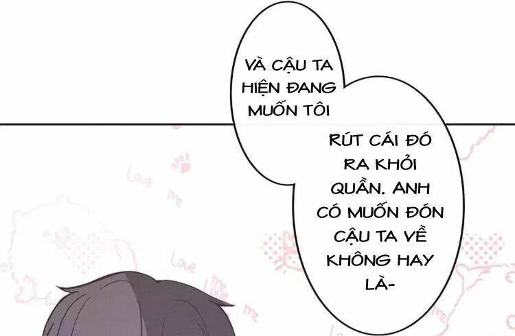 Sugar Pet - Chương 16